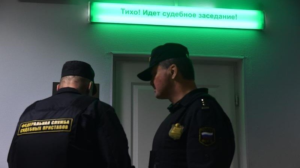 Свобода слова во имя борьбы. Оценка г-на Карнаухова и г-на Якеменко, сделанная по решению Савеловского суда и профессорской экспертизе.