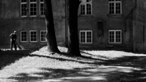 Фильм «Исчезновение» режиссера Кирилла Серебренникова, рассказывающий о нацистском докторе Менгеле с актером Августом Дилем в главной роли, был включен в программу Канн-2025.