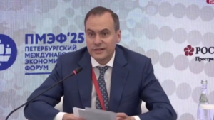 “Потому что школа — почти поздно”: руководитель Мордовии сообщил, что в республике девочек готовят к материнству с трех лет.