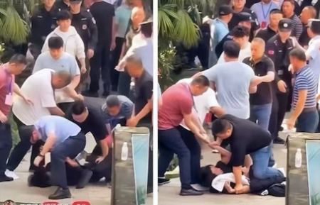В Чунцине мужчина издевался над кошками и собаками; протесты были подавлены.