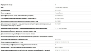 Минюст начал эксплуатировать реестр правонарушенных политическими эмигрантами в режиме испытаний.