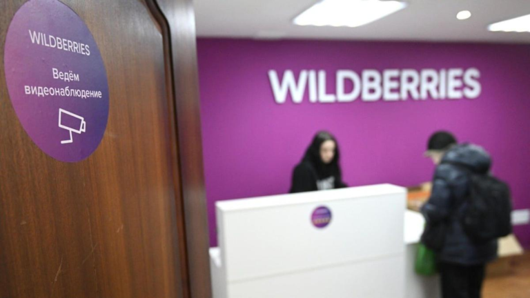 Продавцы Wildberries обратились к Мишустину с жалобами на задержку выплат за товары на сумму 20 млрд рублей. Платформа объяснила проблему атаками хакеров.
