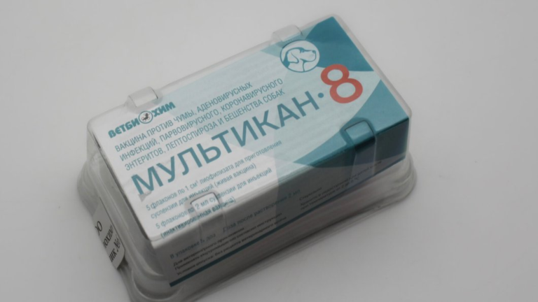 Российская служба ветеринарного и фитосанитарного надзора потребовала уничтожить партию вакцины “Мультикан-8” после сообщений о гибели сотен собак.