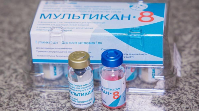 Одну из партий вакцины “Мультикан-8” нашли с фальсифицированным сертификатом качества – после ее применения погибли сотни собак.