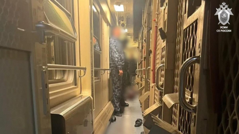 ФСИН наградит сотрудников, убивших осужденного, который атаковал конвоира в поезде «Владикавказ — Адлер» и ранил еще троих.
